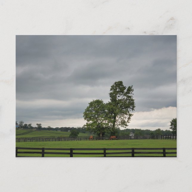 Carte Postale Lexington, KY (Devant)