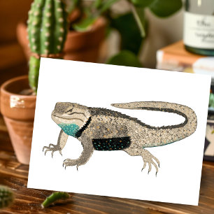 Carte Postale Lézard épineux du désert Reptiles Animaux Nature A