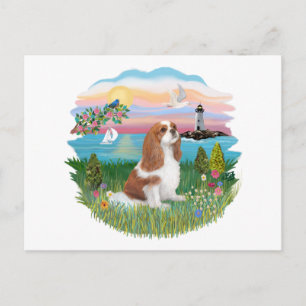 Carte Postale Lghthouse - Cavalier (BL-F)