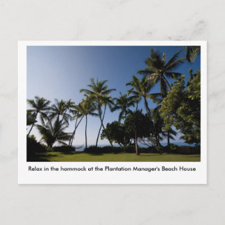 Carte Postale L'hamac à la Chambre du directeur de plantation