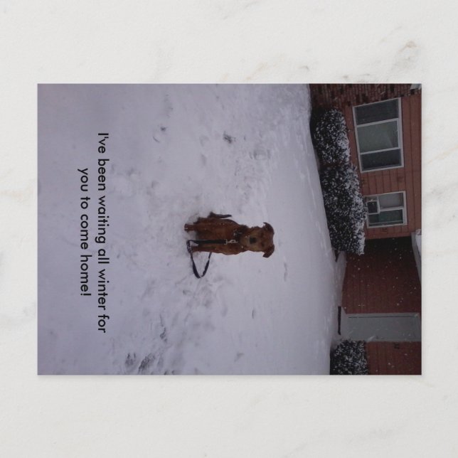 Carte Postale L'hiver (Devant)