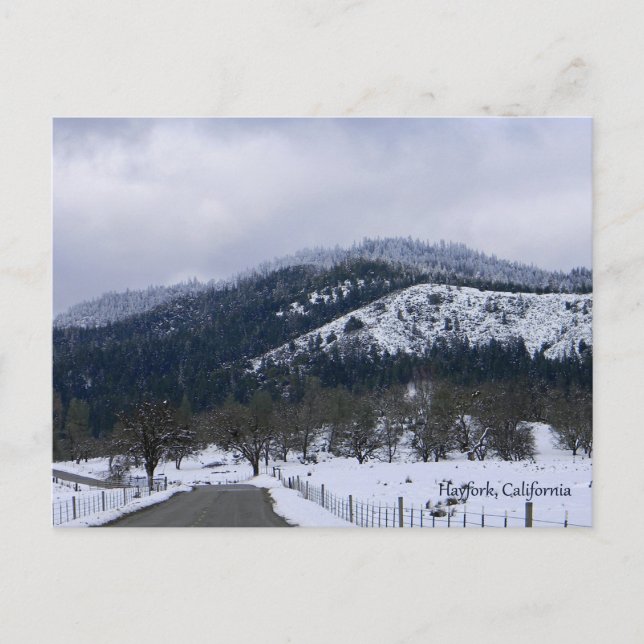 Carte Postale L'hiver à Hayfork, Californie... (Devant)