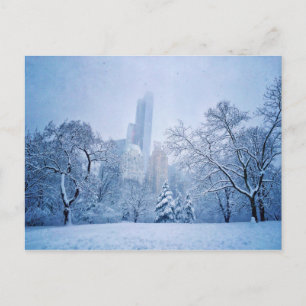 Carte Postale L'hiver dans le Central Park de New York
