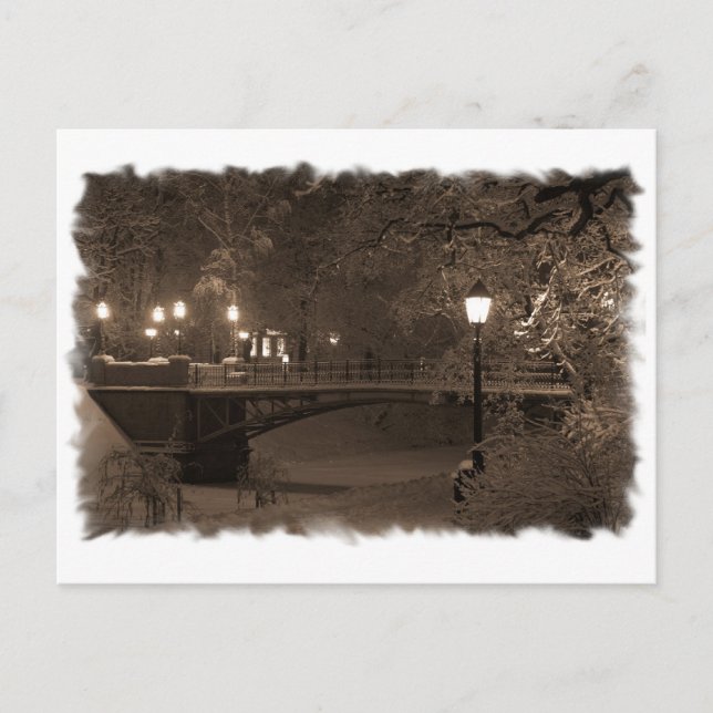 Carte Postale L'hiver dans les tons sépia (Devant)