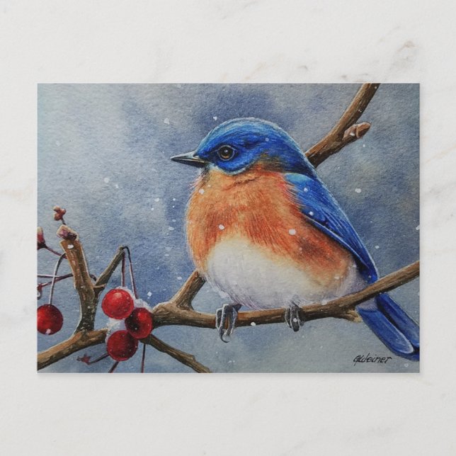 Carte Postale L'hiver Est Bluebird & Berries Aquarelle Art (Devant)