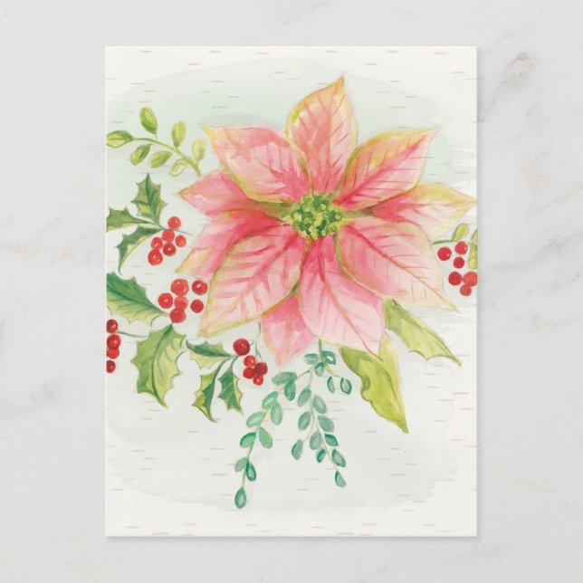 Carte Postale L'hiver fleurit poinsettia de floraison rose de | (Devant)