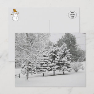 Carte Postale L'hiver neigeux du Vermont en B&W