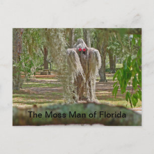 Carte Postale L'homme de la mousse de Floride