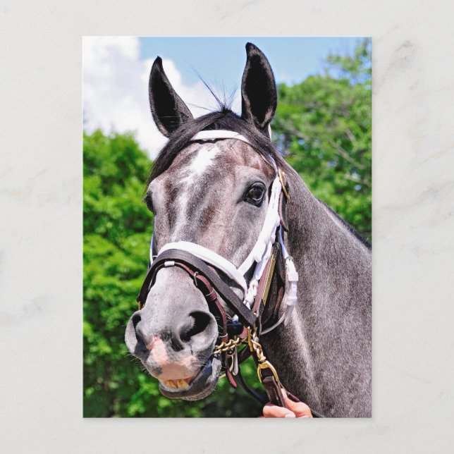 Carte Postale L'homme d'un roi (Devant)