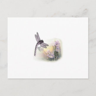 Carte Postale libellule