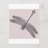 libellule