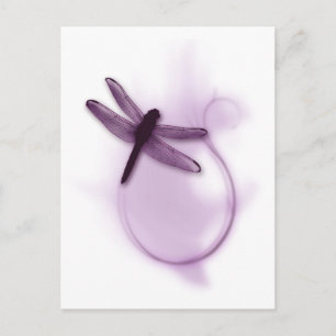 Carte Postale libellule violette