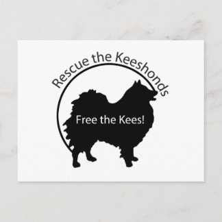 Carte Postale Libérez Kees !