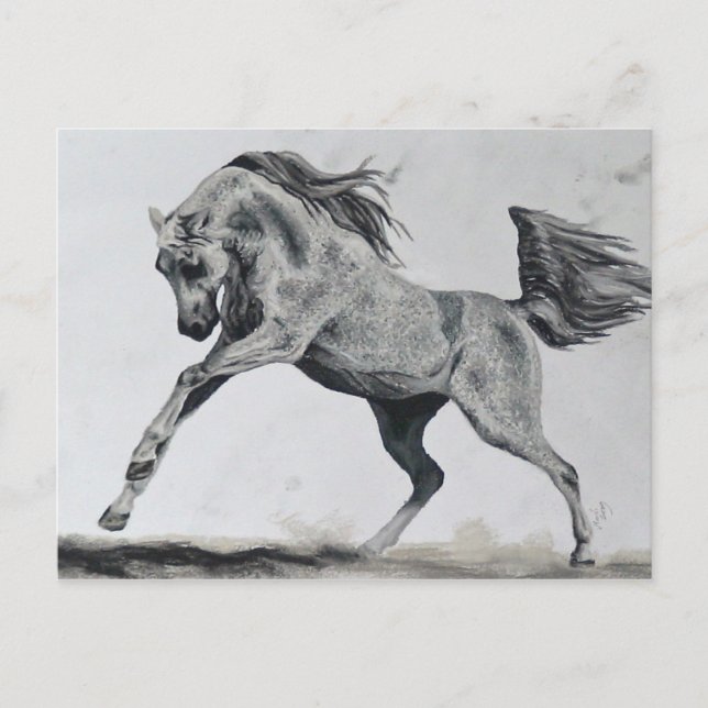 Carte Postale Liberté d'esprit (Devant)