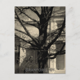 Carte Postale Library, Branford, Ct Postcard