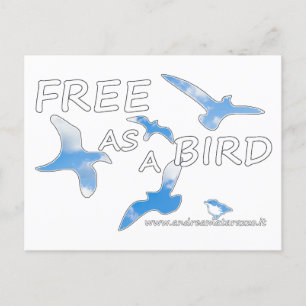 Carte Postale Libre comme un oiseau