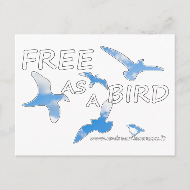Carte Postale Libre comme un oiseau (Devant)