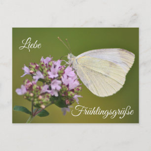 Carte Postale Liebe Frühlingsgrüße
