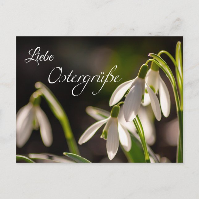 Carte Postale Liebe Ostergrüße aus dem Briefkasten (Devant)