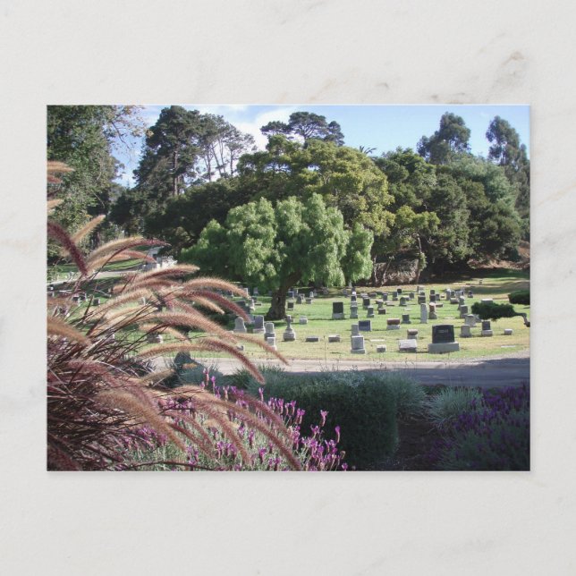 Carte Postale Lieux de repos (Devant)