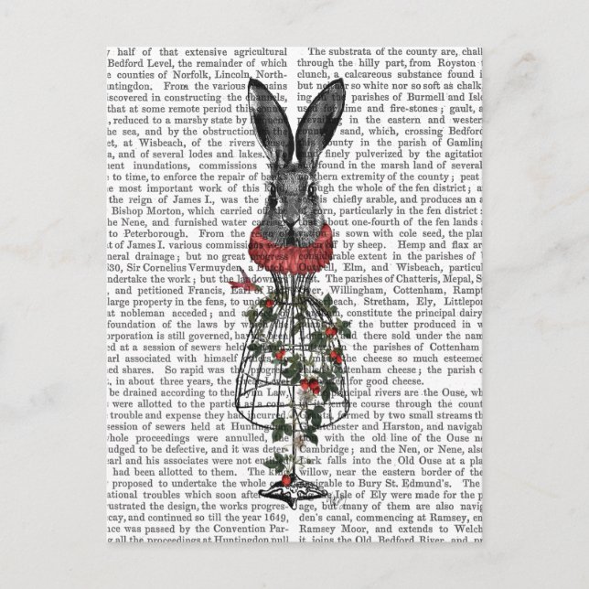 Carte Postale Lièvre de fraise (Devant)