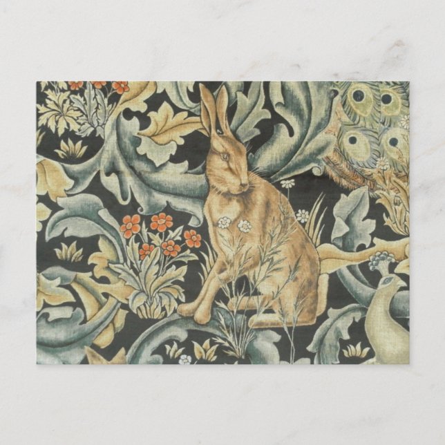 Carte postale - lièvre et oiseau (Devant)