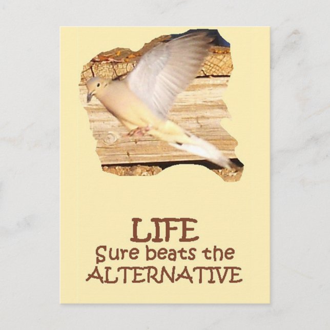 Carte Postale LIFE—Volant Dove (Devant)