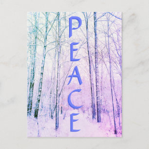 CARTE POSTALE LIGHT WINTER PEACE2