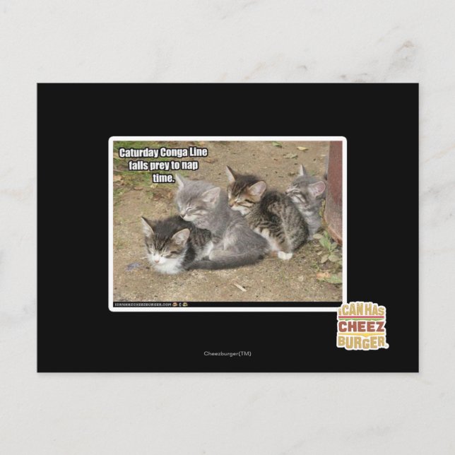 Carte Postale Ligne Caturday Conga (Devant)