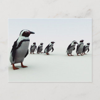 Carte Postale Ligne de pingouin