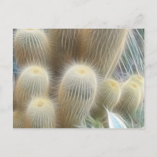 Carte Postale Lignes de couleur Cactus