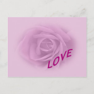 Carte Postale Lilac Rose pour l'amour