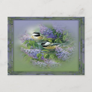 Carte postale Lilacs & Oiseaux
