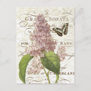 Carte postale lilas vintage