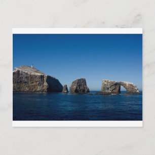 Carte Postale L'île d'Anacapa