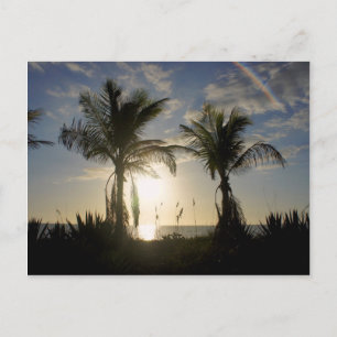 Carte Postale L'île de Captiva