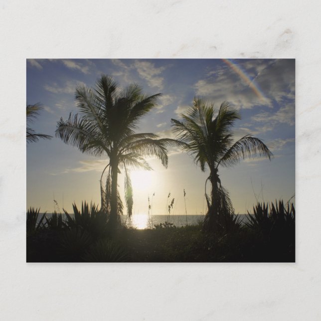 Carte Postale L'île de Captiva (Devant)