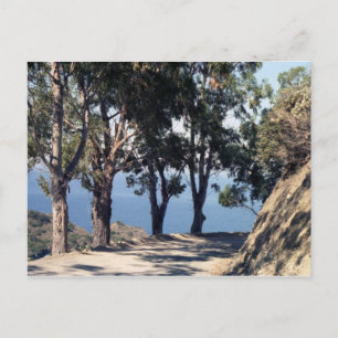 Carte Postale L'île de Catalina