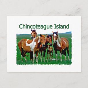 Carte Postale L'île de Chincoteague (poneys)