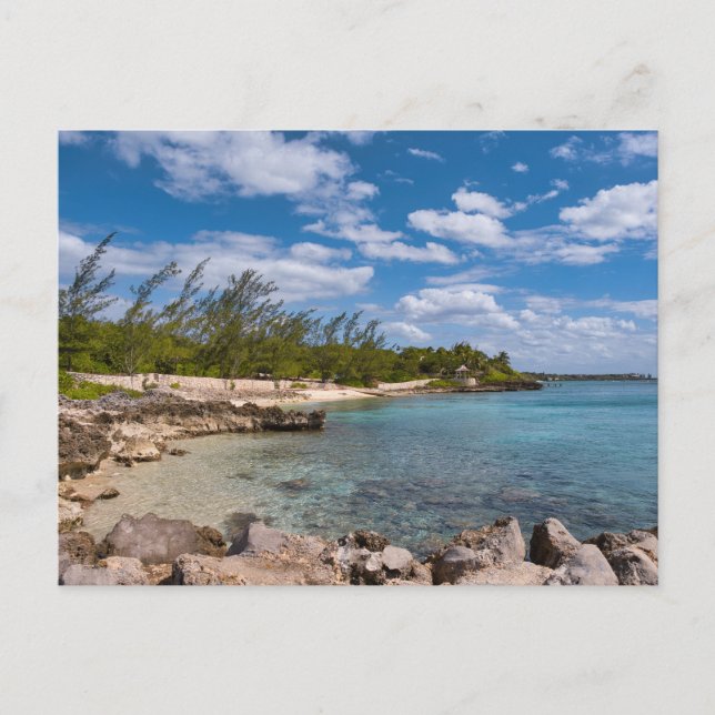 Carte Postale L'île de Grand Cayman (Devant)