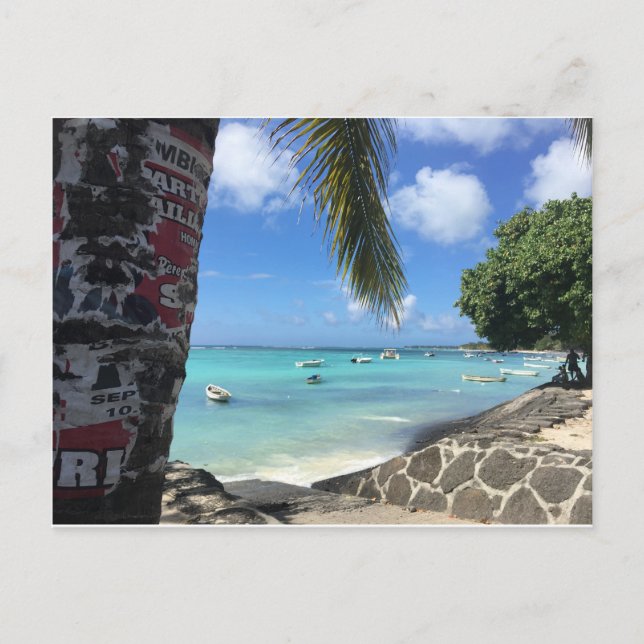 Carte Postale L'île Maurice - Trou aux Bîches (Devant)