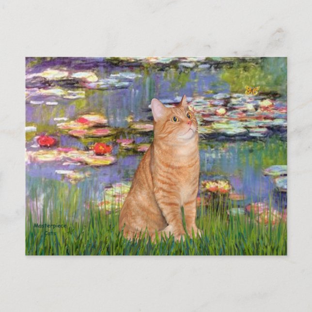 Carte Postale Lilies 2 - Orange Tabby cat 46 (Devant)