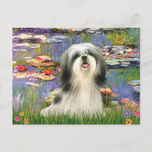 Carte Postale Lilies (#2) - Shih Tzu #3 (Devant)