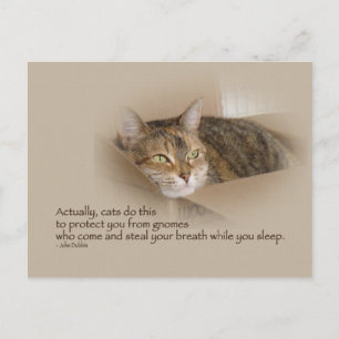 Carte Postale Lily #1