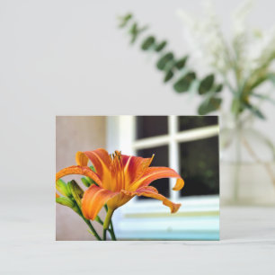 Carte Postale Lily de tigre orange