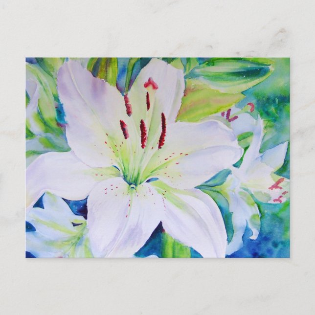 Carte Postale Lime Zest (Devant)