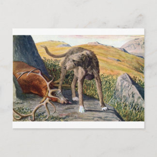 Carte Postale Limier écossais