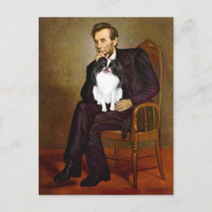 Carte Postale Lincoln - Chin japonais 2
