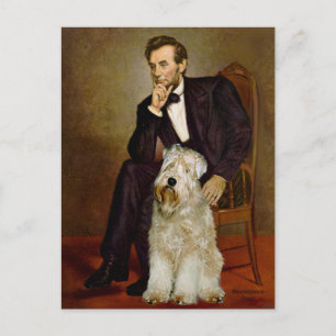 Carte Postale Lincoln - Terrier de Wheaten 7
