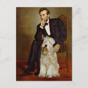 Carte Postale Lincoln - Wheaten Terrier 7